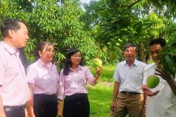 Chung tay nâng hiệu quả tín dụng chính sách ở Khánh Hòa