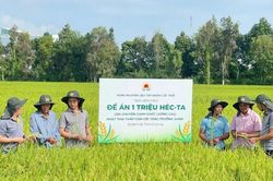 Hơn 100 triệu cổ phiếu LTG bị hủy đăng ký giao dịch trên UPCoM