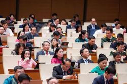 Quốc hội thông qua 3 luật về Ngân hàng Nhà nước, chống rửa tiền và tín dụng