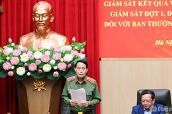 Thực hiện nghiêm, hiệu quả các kết luận của Bộ Chính trị, Ban Bí thư