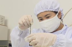 Giữ gìn tinh hoa - phát huy giá trị Đông y Việt Nam
