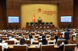 Quốc hội chốt áp dụng cơ chế đặc thù xử lý vi phạm liên quan đến kinh tế, đổi mới sáng tạo trong 3 năm