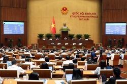 Quốc hội biểu quyết thông qua cơ chế, chính sách đặc thù xử lý vi phạm pháp luật về kinh tế