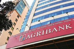 Agribank Nam Sách còn hạn chế trong thu thập thông tin, hồ sơ tín dụng