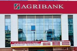 Những tồn tại trong hoạt động cấp tín dụng tại Agribank Hoành Bồ Quảng Ninh
