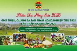 Phiên chợ Nông sản 2026 - Cơ hội kết nối sản xuất với thị trường