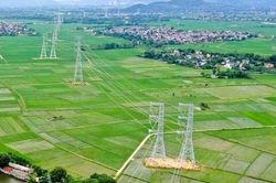 Nghệ An giao hơn 10 ha đất cho dự án đường dây 500kV mạch kép