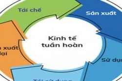 Kinh tế tuần hoàn nhìn từ thế giới và kinh nghiệm đối với Việt Nam