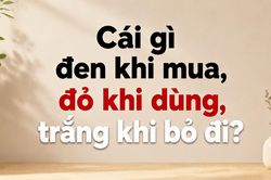Cái gì đen khi mua, đỏ khi dùng, trắng khi bỏ đi?