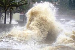 Bão số 4 Narra giật cấp 11, xu hướng đi ra xa đất liền