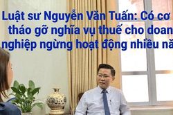 Luật sư: Có cơ sở tháo gỡ nghĩa vụ thuế cho doanh nghiệp ngừng hoạt động nhiều năm