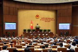 Cắt giảm điều kiện, thủ tục hành chính trong lĩnh vực vô tuyến, viễn thông, công nghệ