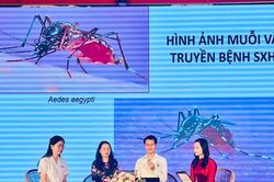 Xã Ô Diên tăng cường phòng, chống sốt xuất huyết qua livestream