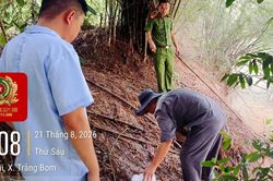 Phát hiện trang trại nuôi lợn xả nước thải ra suối