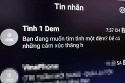 Phạt tới 100 triệu đồng nếu nhà mạng để thuê bao phát tán tin nhắn rác