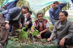 Đánh thức giá trị dược liệu, mở rộng không gian du lịch Quảng Ngãi