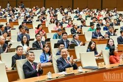 Chủ động xử lý ngay những vấn đề phát sinh từ thực tiễn