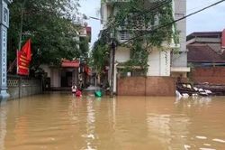 Mưa lũ gây thiệt hại lớn, hơn 29.000ha lúa và cây trồng bị ảnh hưởng