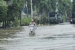 Thanh Hóa: Tập trung tiêu thoát nước, bảo vệ cây trồng, vật nuôi