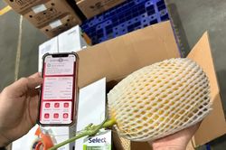 Quét mã QR, người tiêu dùng truy xuất đường đi của thực phẩm
