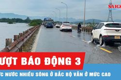 Nhiều sông ở Bắc bộ có lũ trên báo động 3, nước sông Cửu Long tiếp tục lên nhanh