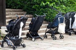 Học giả Nhật Bản: Cần một chính sách đa chiều để giải quyết 'cơn đau đầu' tỷ lệ sinh thấp