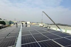 Trung Đức Solar: Hành trình kiến tạo cuộc sống bền vững từ năng lượng xanh
