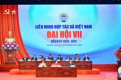 Bà Cao Xuân Thu Vân tái đắc cử Chủ tịch Liên minh Hợp tác xã Việt Nam