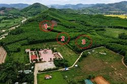 Gia Lai dùng radar xuyên đất tìm kiếm 3 vị trí nghi mộ tập thể liệt sĩ trên đồi Xuân Sơn
