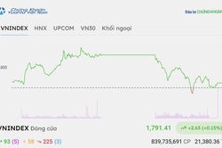 Chứng khoán hôm nay 25/8/2026: VN-Index tăng điểm, mức độ phân hóa cao