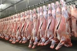 Hơn 100.000 tấn thịt Ấn Độ vào Việt Nam, phần lớn là thịt trâu đông lạnh