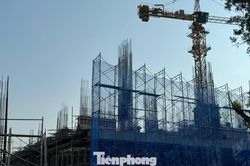 Giá căn hộ ở TPHCM giảm mạnh sau sáp nhập