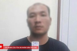 Bắt đối tượng đột nhập cửa h&agrave;ng điện thoại trộm cắp t&agrave;i sản