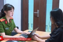 Hô biến Sâm Lai Châu thành Sâm Ngọc Linh