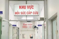 Bé gái 4 tuổi tử vong sau gần 7 tuần có vết thương nghi do chó cắn