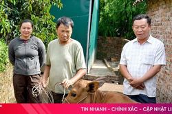 Thêm sinh kế, thêm cơ hội vươn lên cho người nghèo Đông Kinh