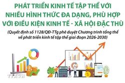 Phát triển kinh tế tập thể với nhiều hình thức đa dạn