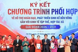 Hội Chữ thập đỏ và Liên minh Hợp tác xã ký kết chương trình phối hợp 2026-2031