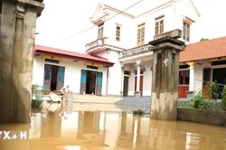 Ninh Bình: Nước lũ bắt đầu rút, người dân nhanh chóng dọn dẹp, ổn định cuộc sống