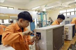 Nhân lực số - Nền tảng hạ tầng chất lượng quốc gia, thúc đẩy nâng cao năng suất