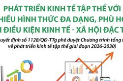 Phát triển kinh tế tập thể với nhiều hình thức đa dạng, phù hợp với điều kiện đặc thù