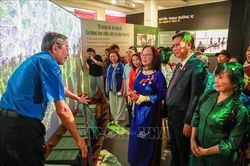 Khai mạc trưng bày 'Thời thanh xuân từ Đường Trường Sơn đến Đường 1C huyền thoại'