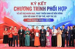 Th&iacute; điểm m&ocirc; h&igrave;nh sinh kế nh&acirc;n đạo gắn với kinh tế tập thể, hợp t&aacute;c x&atilde;