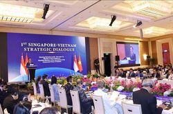 Việt Nam - Singapore hướng đến tương lai chung tự cường