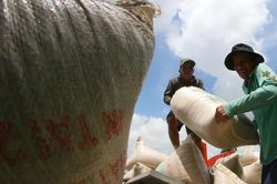 Việt Nam thúc đẩy hợp tác, tháo gỡ vướng mắc thương mại gạo với Philippines