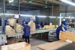 FiinGroup: Chỉ 8,8% doanh nghiệp nhỏ và vừa tiếp cận được vốn vay