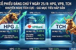 Điểm tin cổ phiếu 25/8: Giá mục tiêu mới nhất của HPG, VPB, TCH