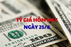 Tỷ giá hôm nay 25/8: USD và NDT cùng đi lên