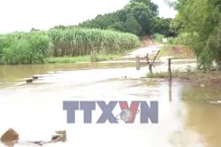 Thanh Hóa khẩn trương ứng phó với mưa lũ
