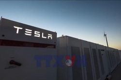 Tesla triệu hồi hàng triệu ô tô điện tại Trung Quốc